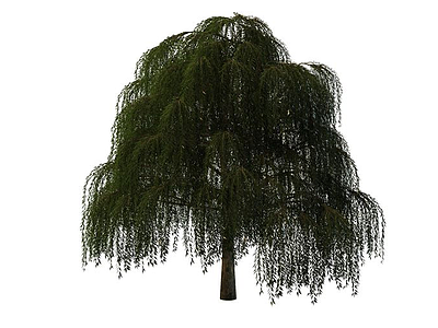 3d柳树免费模型