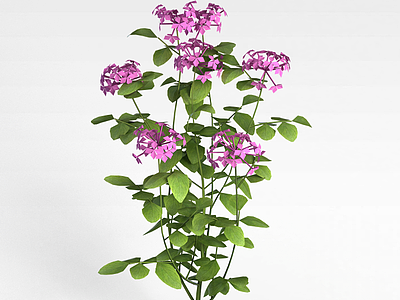 3d仿真紫色花卉模型