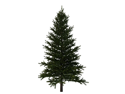 3d圣诞树免费模型