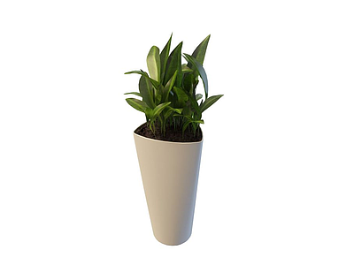 观叶植物模型3d模型