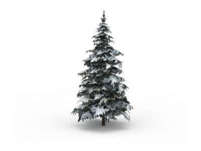 落雪松树模型3d模型