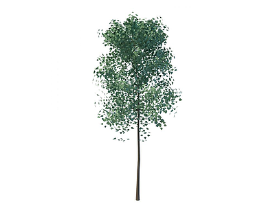 3d装饰树模型