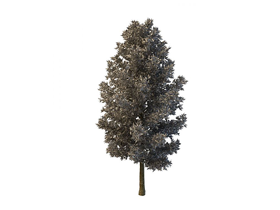 针叶树模型3d模型