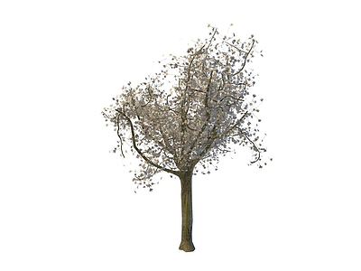 3d白色大树免费模型