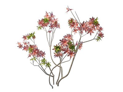 百合花树模型3d模型