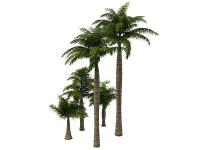 3d椰子树模型