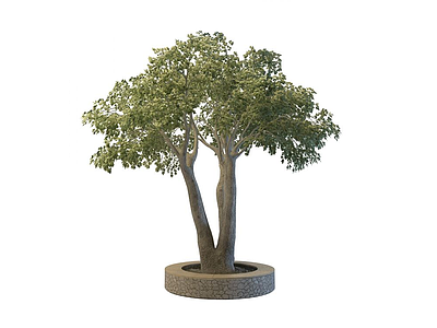 3d古树免费模型