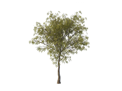 公园树木模型3d模型