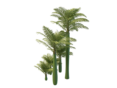 3d棕榈树免费模型