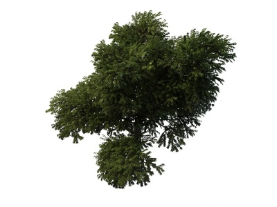 茂密树木模型3d模型