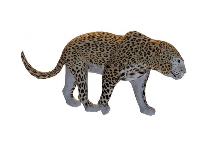 金钱豹模型3d模型