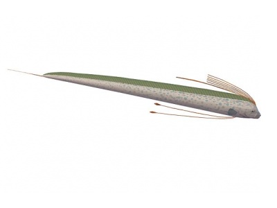 白玉凤凰鱼模型