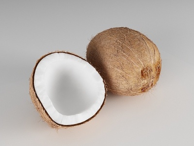 3d椰子水果模型