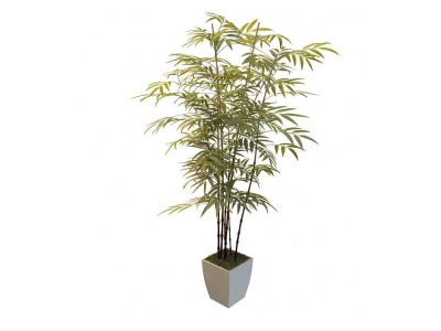 3d盆栽景观竹子模型