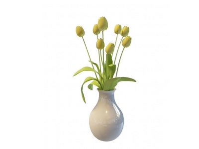 室内陶瓷花瓶模型3d模型