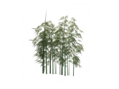 3d竹子模型
