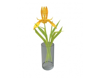 3d黄花植物摆件模型