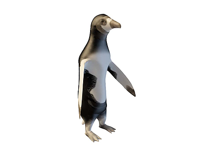 企鹅模型3d模型