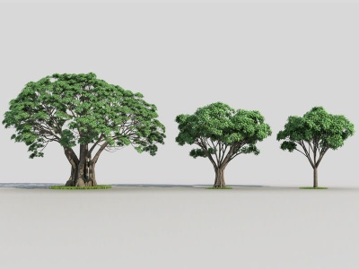 3d现代榕树模型