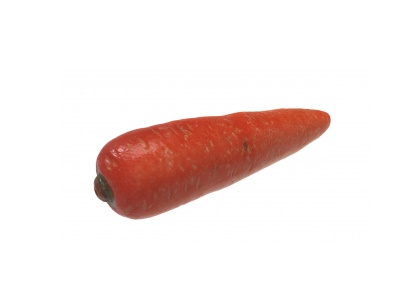 3d红萝卜模型
