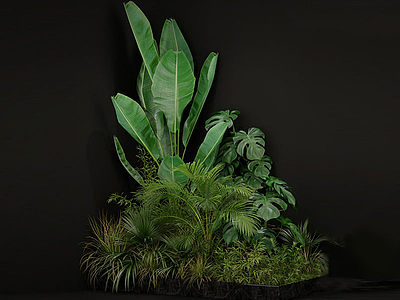 3d现代绿植植物龟背竹芭蕉模型