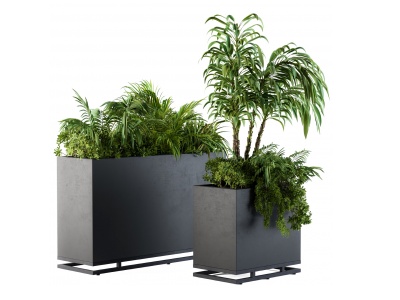 现代植物盆栽种植箱模型3d模型