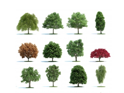 3d装饰植物树模型