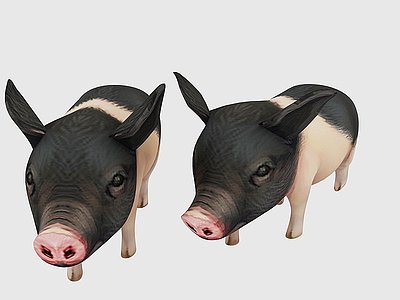 小猪模型3d模型