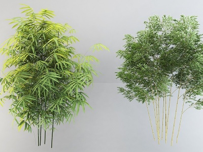 3d竹子植物盆栽组合模型