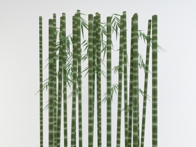3d竹子竹竿植物盆栽模型