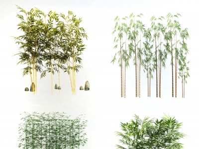 竹子植物盆栽组合模型
