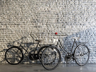 老式自行车模型3d模型