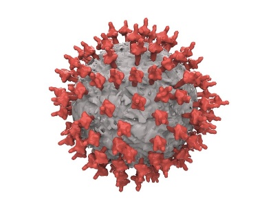 病毒模型3d模型