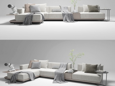3d现代风格的沙发茶几盆栽模型