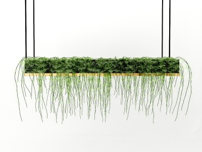 现代风格小草绿植吊灯模型3d模型