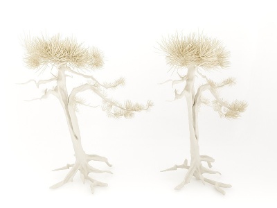 3d现代风格树木装饰品模型