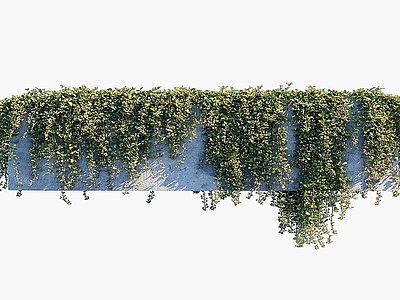 3d绿植藤蔓植物墙垂直绿化模型