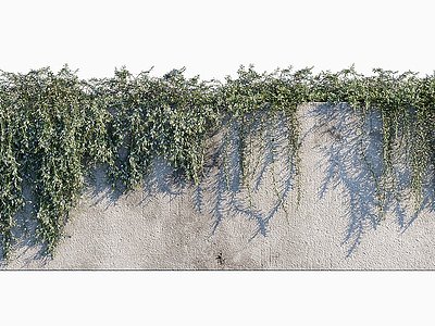 现代绿植藤蔓植物墙迷迭香模型