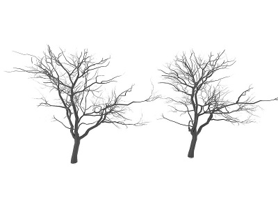 植物树木模型
