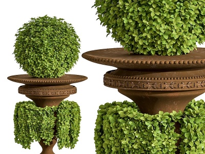 现代植物花坛景观植物模型3d模型