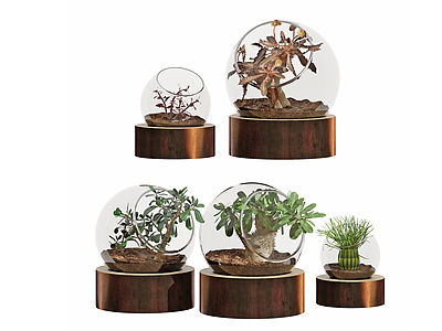 3d现代玻璃植物花卉盆栽模型