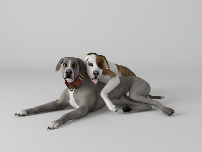 宠物狗模型3d模型