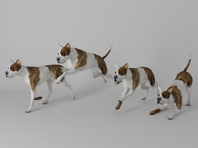 3d宠物狗模型