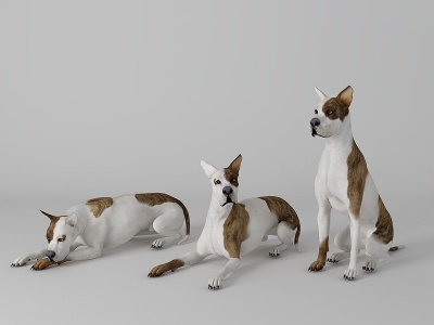 3d宠物狗模型
