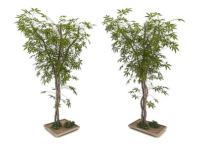 3d绿植模型
