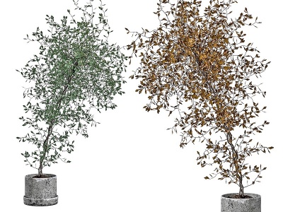 现代植物盆栽模型3d模型
