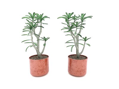 盆栽绿植模型3d模型