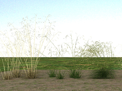 草本植物模型3d模型