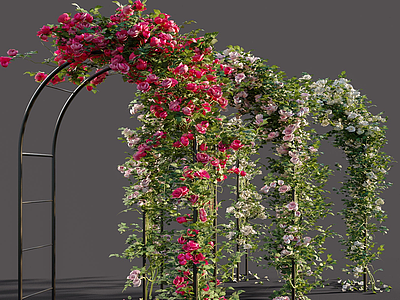 3d现代玫瑰花架藤蔓植物模型