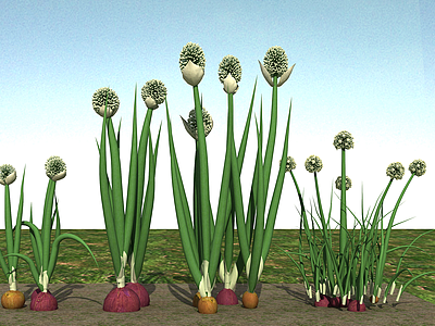3d大葱植物模型
